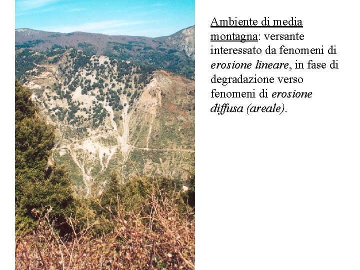 Ambiente di media montagna: versante interessato da fenomeni di erosione lineare, lineare in fase