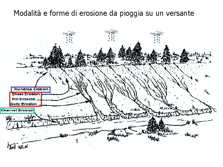 Modalità e forme di erosione da pioggia su un versante 