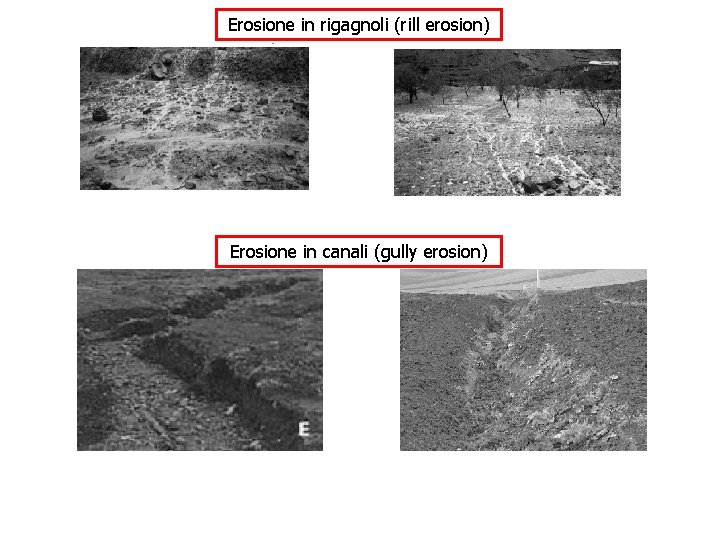 Erosione in rigagnoli (rill erosion) Erosione in canali (gully erosion) 