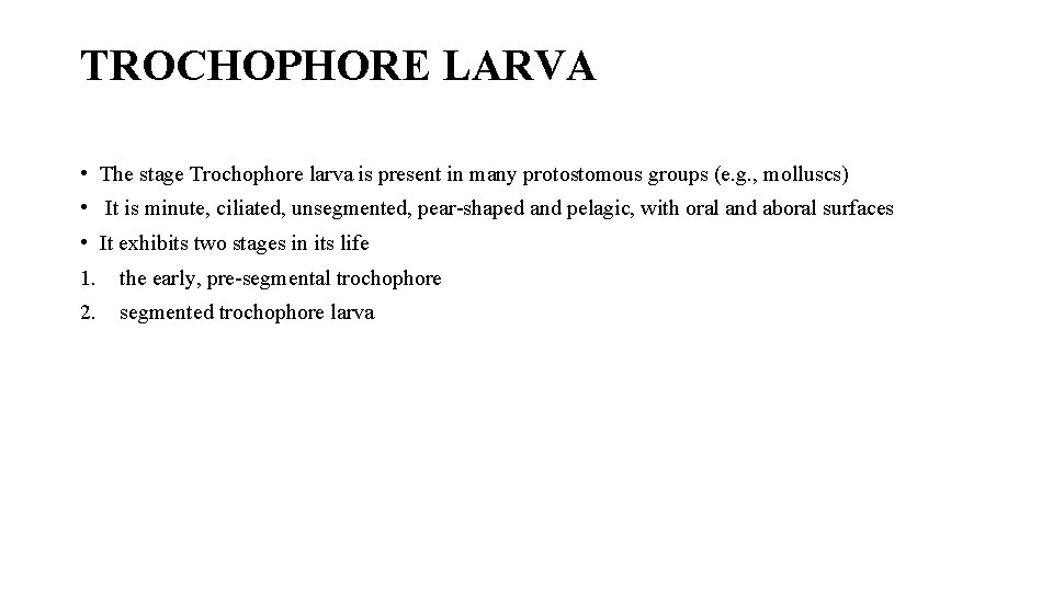 TROCHOPHORE LARVA • The stage Trochophore larva is present in many protostomous groups (e.
