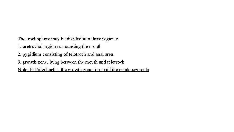 The trochophore may be divided into three regions: 1. pretrochal region surrounding the mouth