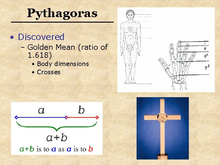 Pythagoras • Discovered – Golden Mean (ratio of 1. 618) • Body dimensions •