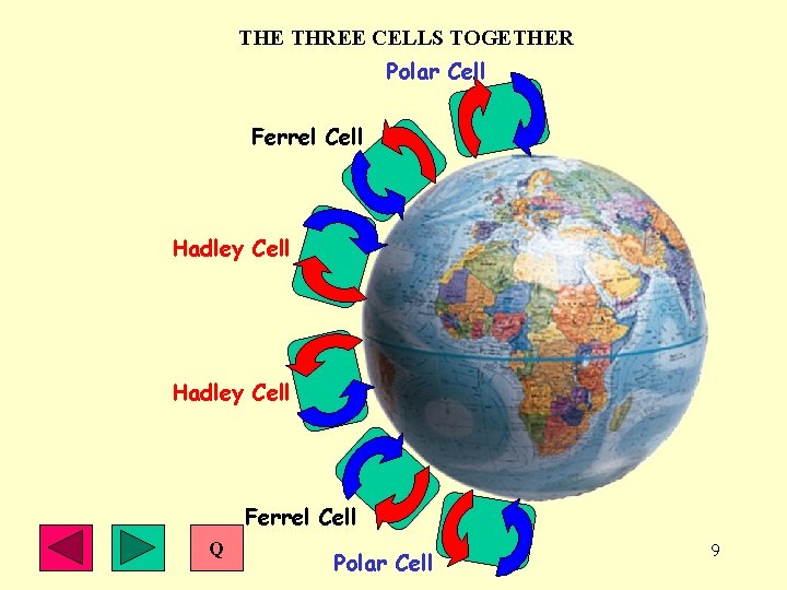 THE THREE CELLS TOGETHER Polar Cell Ferrel Cell Hadley Cell Ferrel Cell Q Polar
