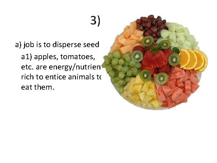 3) fruit a) job is to disperse seed a 1) apples, tomatoes, etc. are