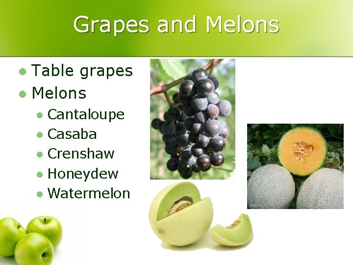 Grapes and Melons Table grapes l Melons l Cantaloupe l Casaba l Crenshaw l