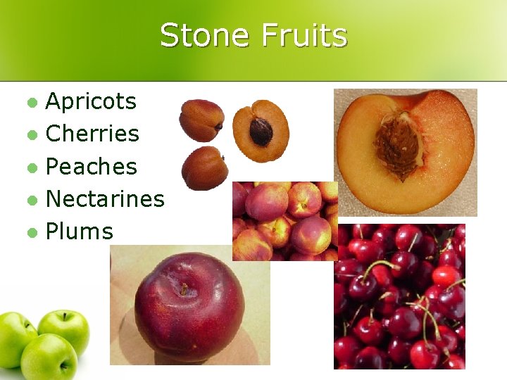 Stone Fruits Apricots l Cherries l Peaches l Nectarines l Plums l 