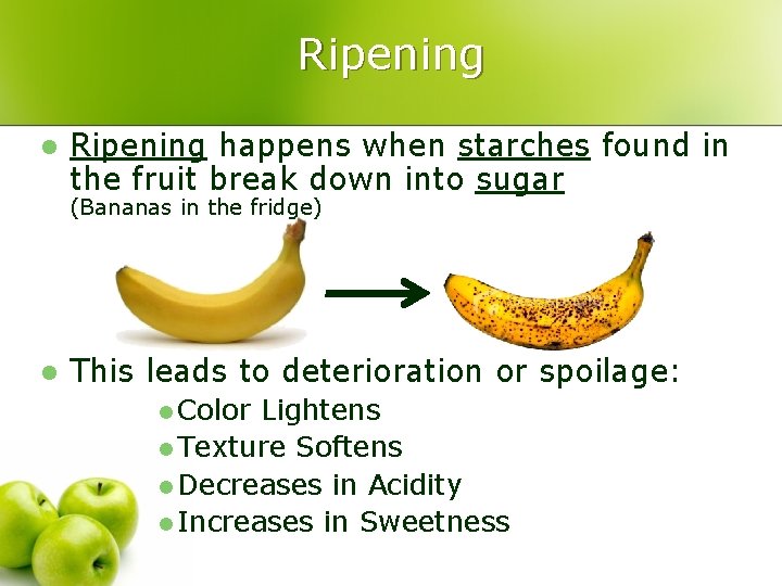 Ripening l Ripening happens when starches found in the fruit break down into sugar