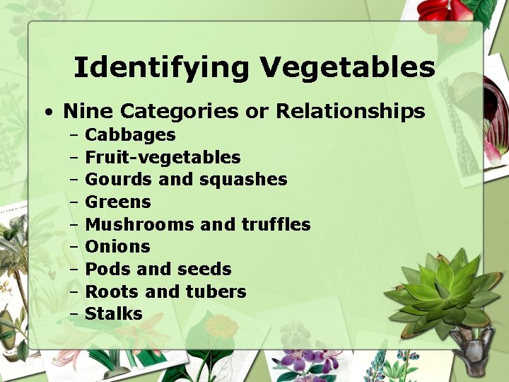 Identifying Vegetables • Nine Categories or Relationships – Cabbages – Fruit-vegetables – Gourds and