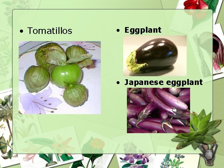  • Tomatillos • Eggplant • Japanese eggplant 