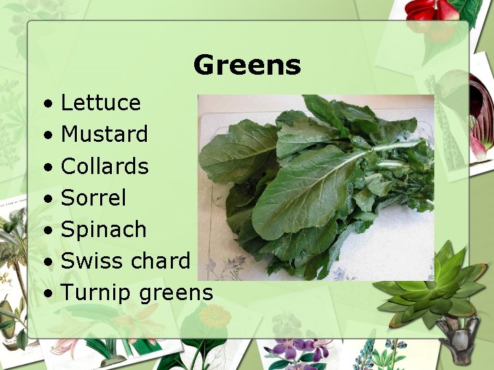 Greens • Lettuce • Mustard • Collards • Sorrel • Spinach • Swiss chard