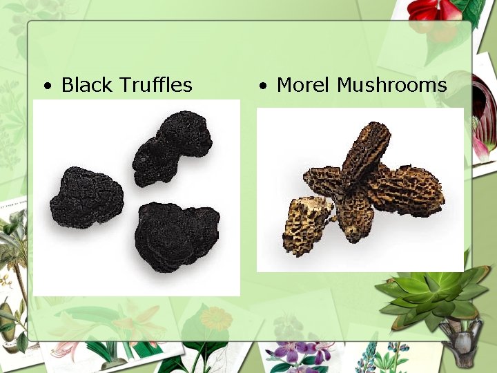  • Black Truffles • Morel Mushrooms 