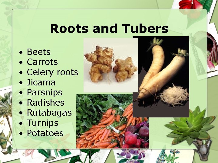 Roots and Tubers • • • Beets Carrots Celery roots Jicama Parsnips Radishes Rutabagas