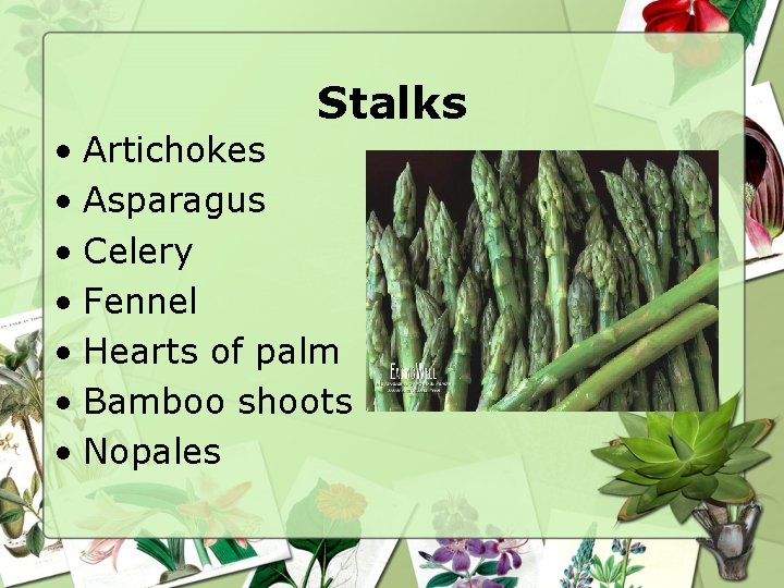 Stalks • Artichokes • Asparagus • Celery • Fennel • Hearts of palm •