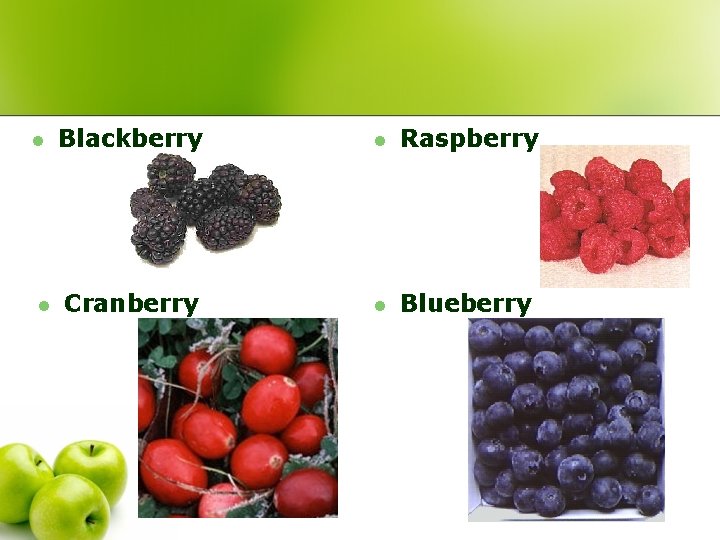 l l Blackberry l Raspberry Cranberry l Blueberry 