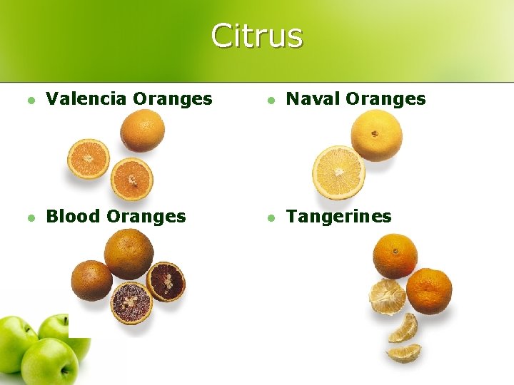 Citrus l Valencia Oranges l Naval Oranges l Blood Oranges l Tangerines 