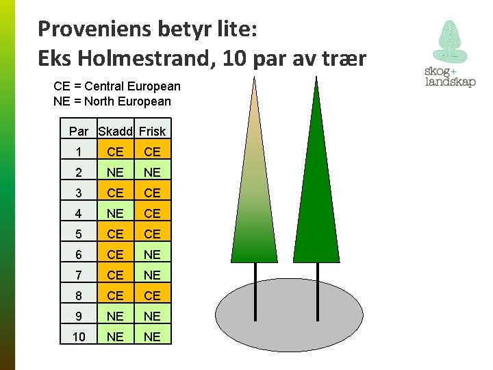 Proveniens betyr lite: Eks Holmestrand, 10 par av trær CE = Central European NE