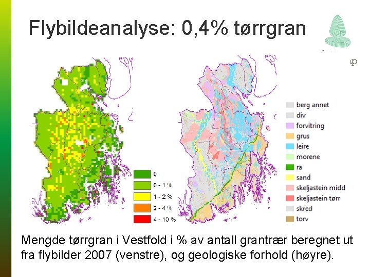 Flybildeanalyse: 0, 4% tørrgran Mengde tørrgran i Vestfold i % av antall grantrær beregnet