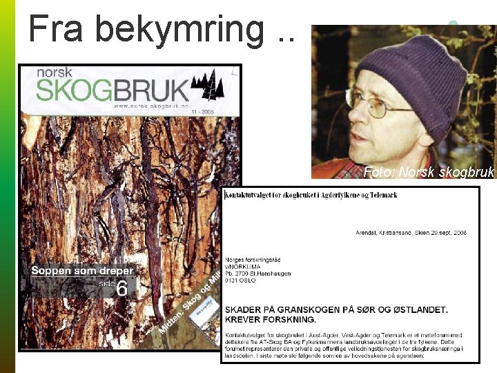 Fra bekymring. . Foto: Norsk skogbruk 