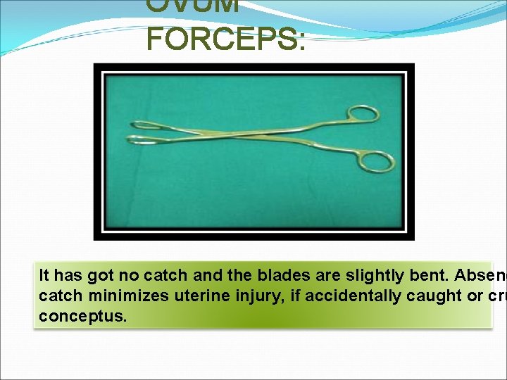 OVUM FORCEPS: It has got no catch and the blades are slightly bent. Absenc