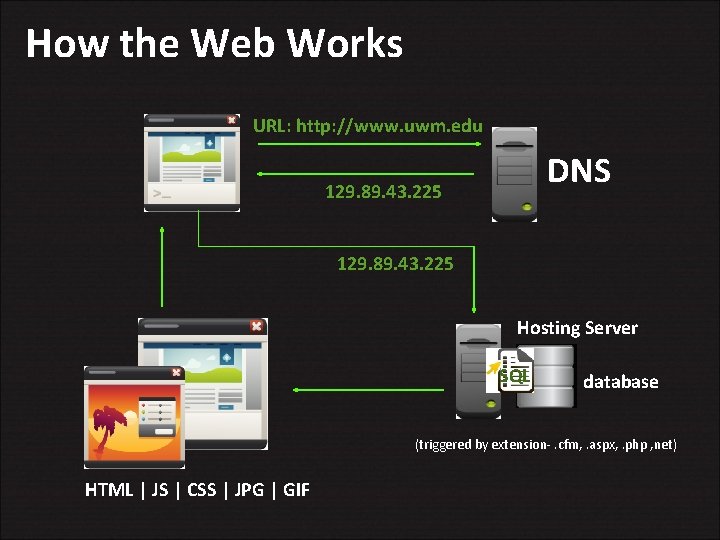 How the Web Works URL: http: //www. uwm. edu DNS 129. 89. 43. 225