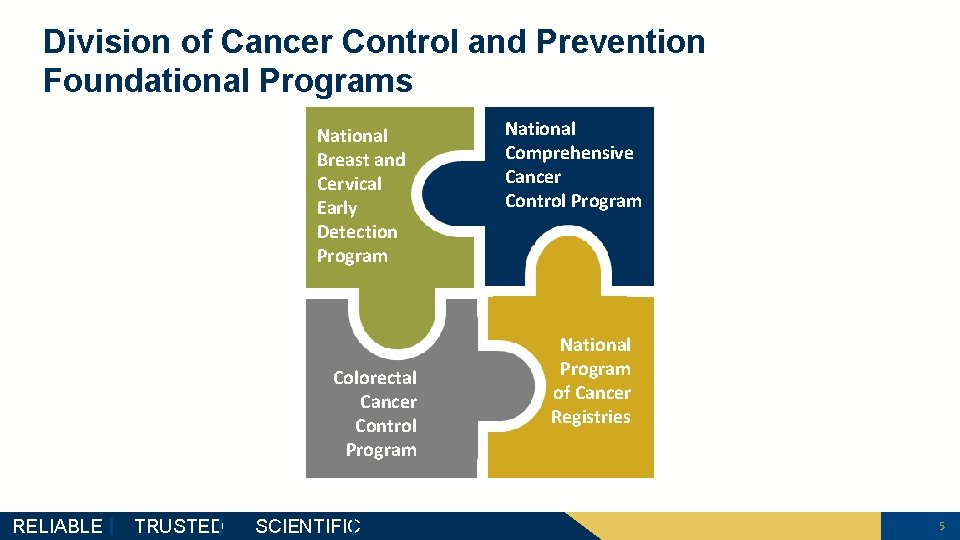 Division of Cancer Control and Prevention Foundational Programs National Breast and Cervical Early Detection
