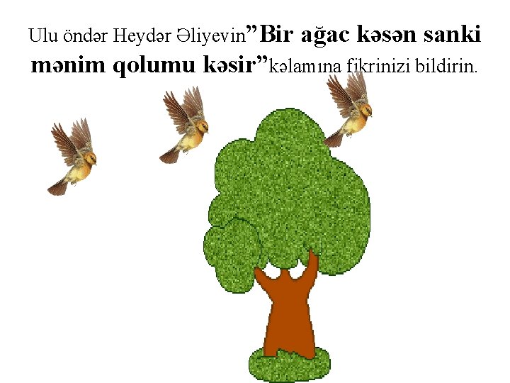 Ulu öndər Heydər Əliyevin”Bir ağac kəsən sanki mənim qolumu kəsir”kəlamına fikrinizi bildirin. 