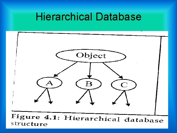 Hierarchical Database  Hierarchical Database