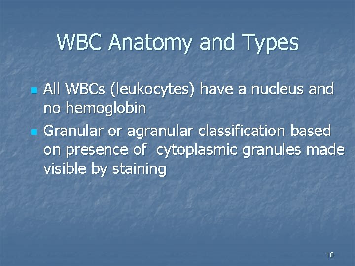 WBC Anatomy and Types n n All WBCs (leukocytes) have a nucleus and no