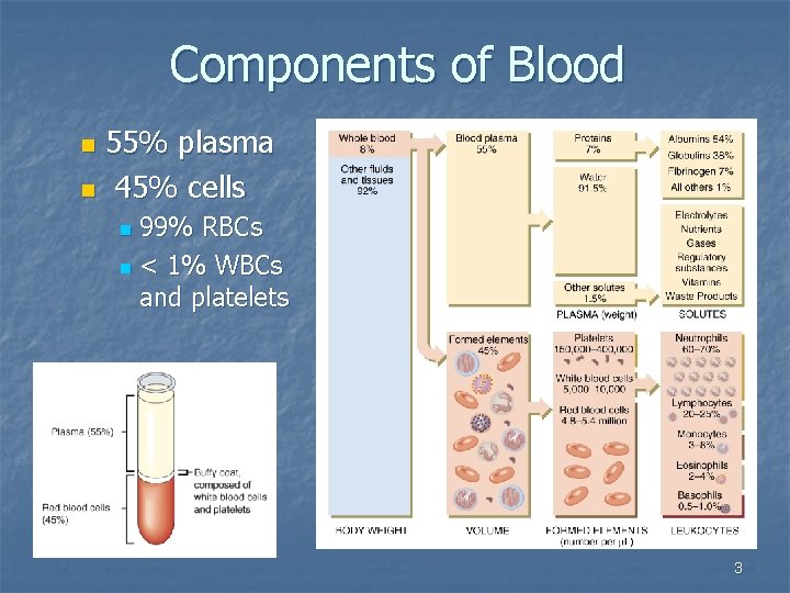 Components of Blood 55% plasma n 45% cells n 99% RBCs n < 1%