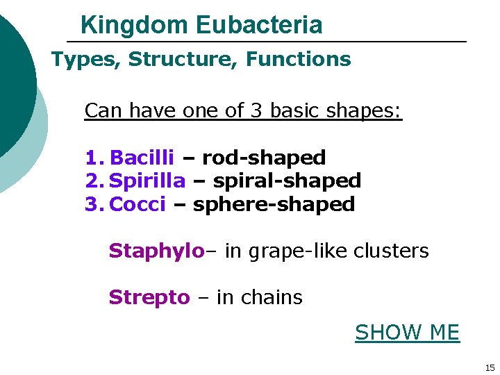 Kingdom Eubacteria Types, Structure, Functions Can have one of 3 basic shapes: 1. Bacilli