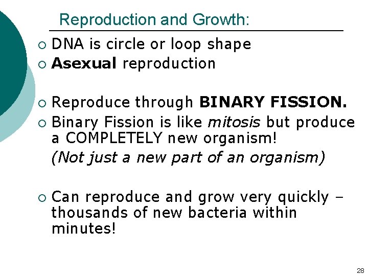Reproduction and Growth: DNA is circle or loop shape ¡ Asexual reproduction ¡ Reproduce