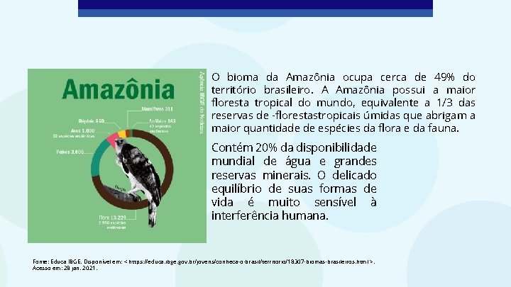 O bioma da Amazônia ocupa cerca de 49% do território brasileiro. A Amazônia possui
