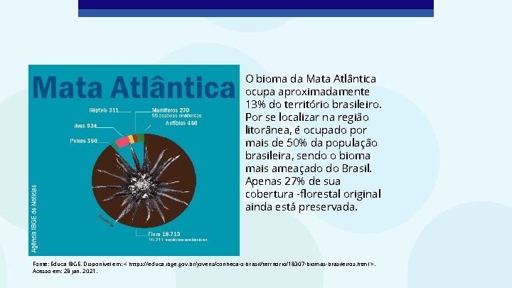 O bioma da Mata Atlântica ocupa aproximadamente 13% do território brasileiro. Por se localizar