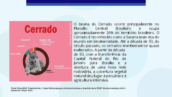 O bioma do Cerrado ocorre principalmente no Planalto Central Brasileiro e ocupa aproximadamente 24%
