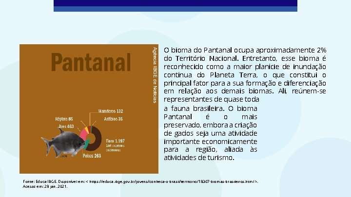 O bioma do Pantanal ocupa aproximadamente 2% do Território Nacional. Entretanto, esse bioma é
