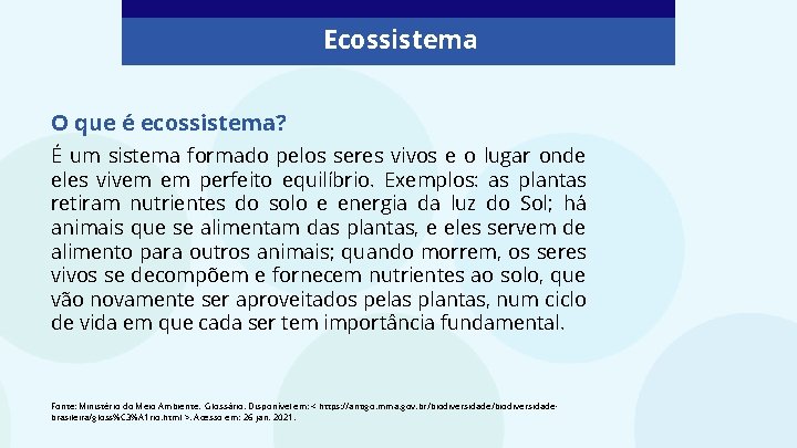 Ecossistema O que é ecossistema? É um sistema formado pelos seres vivos e o