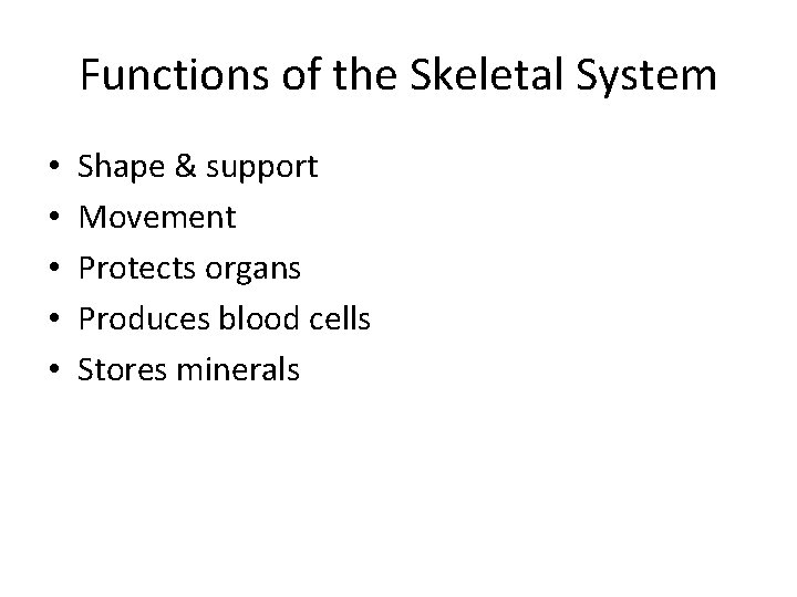 Functions of the Skeletal System • • • Shape & support Movement Protects organs