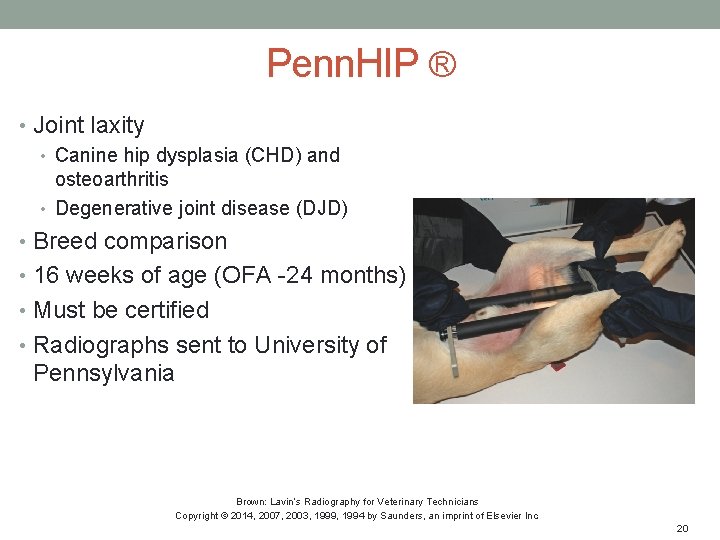 Penn. HIP ® • Joint laxity • Canine hip dysplasia (CHD) and osteoarthritis •