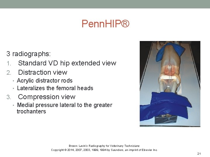 Penn. HIP® 3 radiographs: 1. Standard VD hip extended view 2. Distraction view •