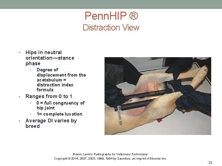 Penn. HIP ® Distraction View • Hips in neutral orientation—stance phase • • Ranges