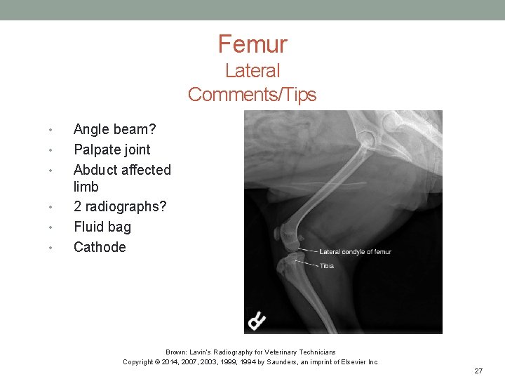Femur Lateral Comments/Tips • • • Angle beam? Palpate joint Abduct affected limb 2