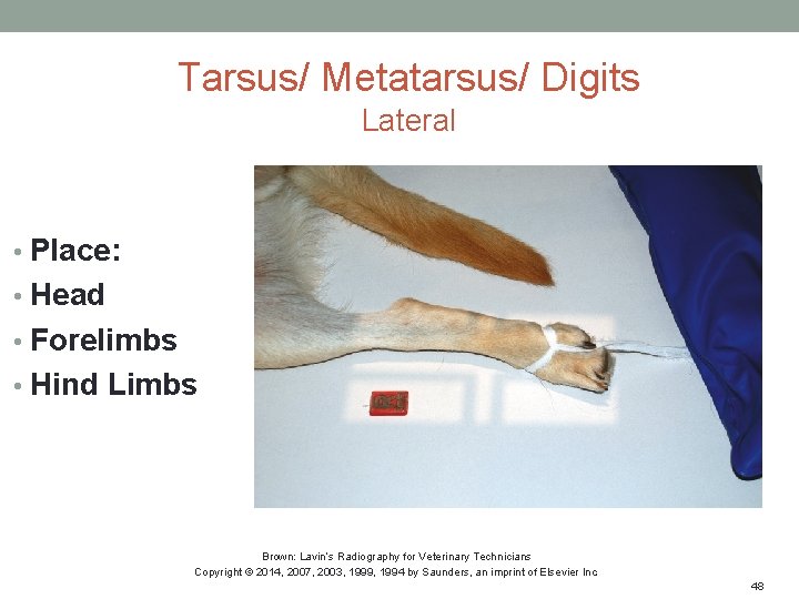 Tarsus/ Metatarsus/ Digits Lateral • Place: • Head • Forelimbs • Hind Limbs Brown:
