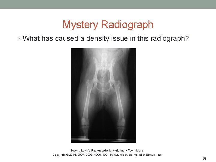 Mystery Radiograph • What has caused a density issue in this radiograph? Brown: Lavin’s