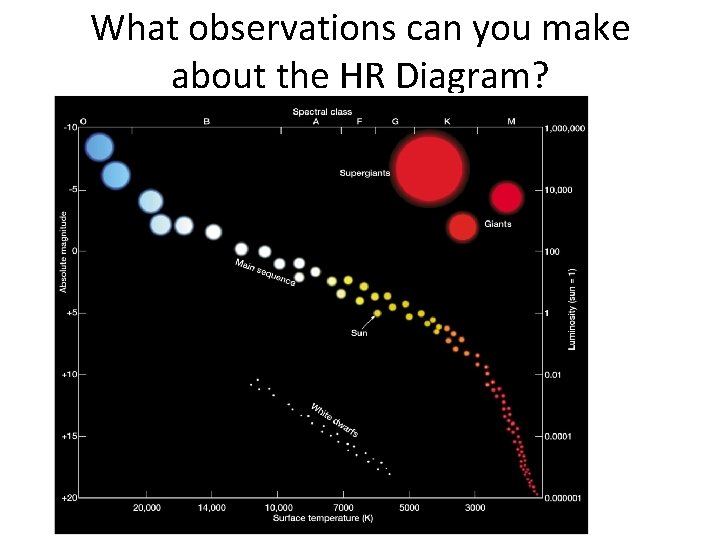 What observations can you make about the HR Diagram? 