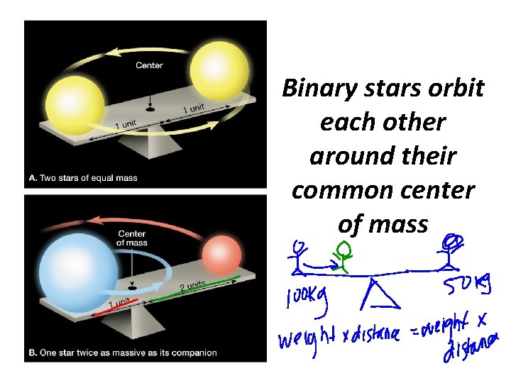 Binary stars orbit each other around their common center of mass 