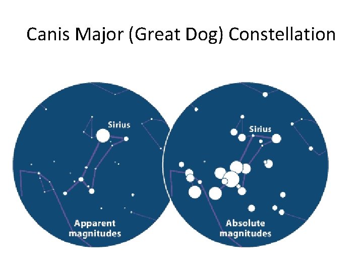 Canis Major (Great Dog) Constellation 