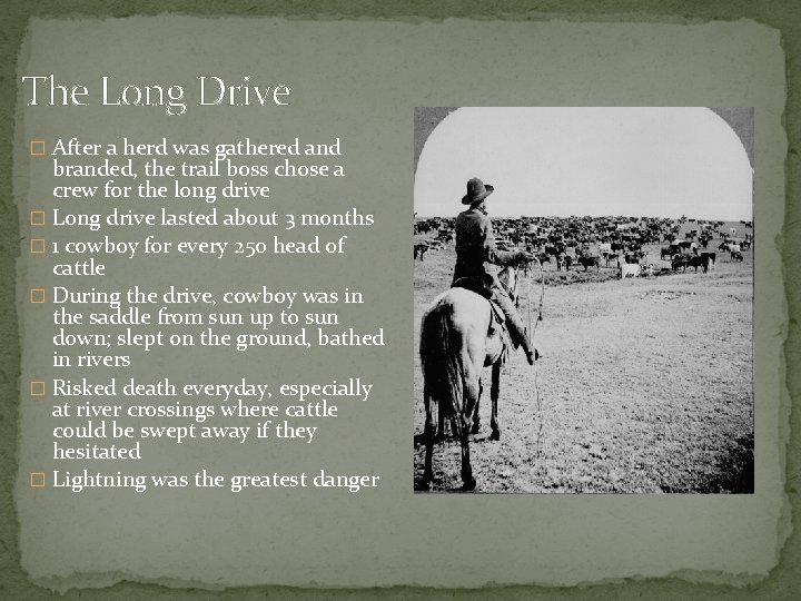 The Long Drive � After a herd was gathered and branded, the trail boss