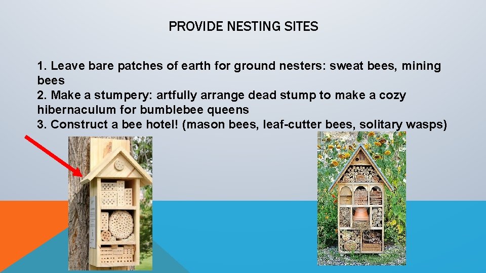 PROVIDE NESTING SITES 1. Leave bare patches of earth for ground nesters: sweat bees,