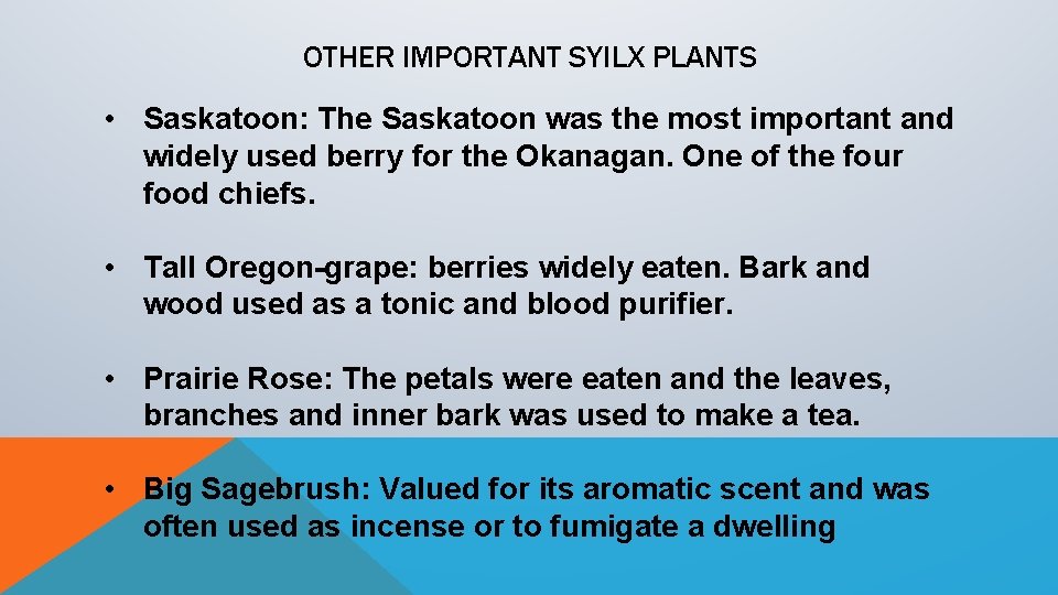 OTHER IMPORTANT SYILX PLANTS • Saskatoon: The Saskatoon was the most important and widely