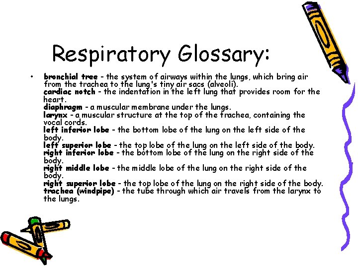 Respiratory Glossary: • bronchial tree - the system of airways within the lungs, which